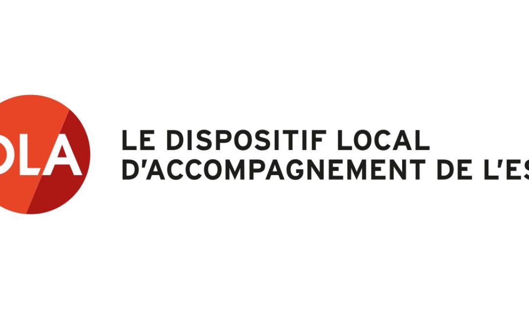 DLA 84 : 4 accompagnements collectifs pour faire avancer votre structure de l’ESS